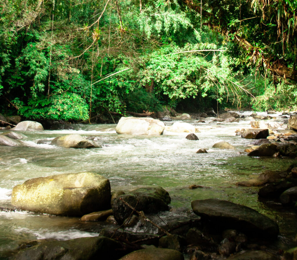 Pequeñas centrales hidroeléctricas rompiendo el mito de las falsas energías verdes